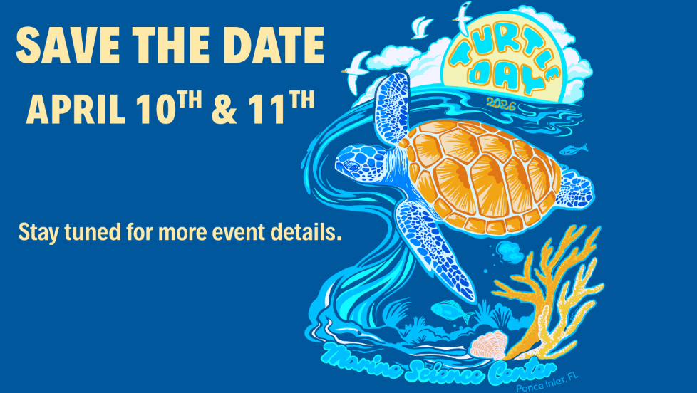 Robert Andrew Provan at Turtle Days